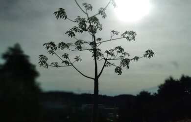 Imagem: O terreno possui 400m² de Área e está localizado em Jarinu