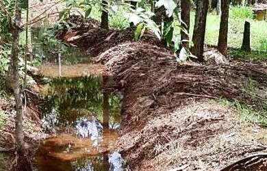 Imagem: A chácara e está localizado em Parque Oeste Industrial, Goiânia