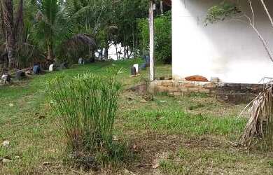 Imagem 3: Vendo fazenda em Gandu BA