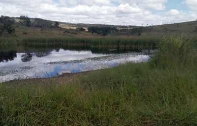 Imagem 8: Fazenda 2.195 Hectares. 