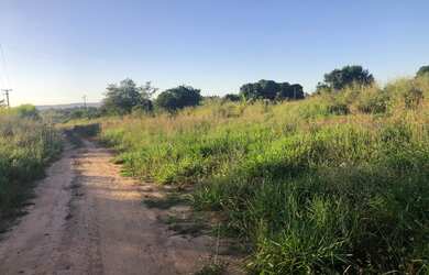 Imagem 3: 138,00 Alqueires, Pecuária Toda aberta, sede, Diamantino, Nortelândia-MT