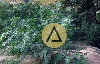 Imagem 5: Terreno à venda, 970 m² por R$ 1.400.000 - Glória - Macaé/RJ