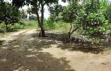 Imagem 5: Lote/Terreno para venda tem 3400 metros quadrados