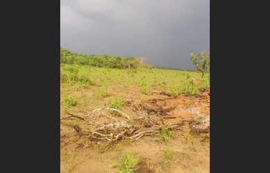 Imagem 6: .Uma Excelente Fazenda 235 alqueires no Vale do Araguaia TO