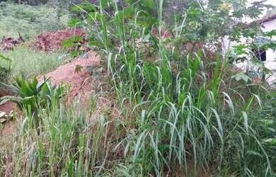 Imagem: O terreno possui 640m² de Área e está localizado em Chácara