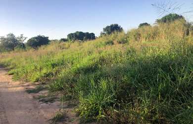 Imagem 2: 138,00 Alqueires, Pecuária Toda aberta, sede, Diamantino, Nortelândia-MT