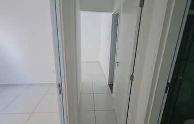 Imagem 11: Palmeiras Prime II