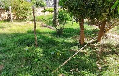 Imagem: O terreno possui 1070-0m² de Área e está localizado em Setor