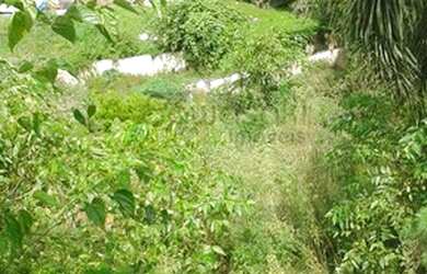 Imagem 2: Terreno para Venda em Planta Meireles Sobrinho Piraquara-PR