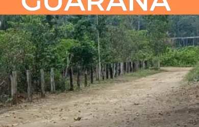 Imagem: A fazenda está localizado em Aparecida, Santarém à venda