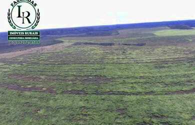Imagem: A fazenda está localizado em Plano Diretor Sul, Palmas à venda