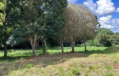 Imagem 6: Linda chácara na área urbana do município de Corbélia!!!