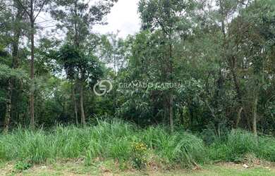 Imagem 2: TERRENO DE 703 M² DENTRO DO LOTEAMENTO TERRAS ALTA