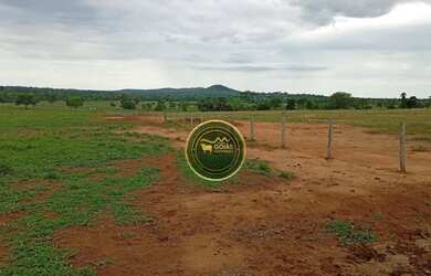 Imagem 6: 197 Alqueires Novo Brasil