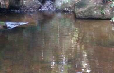 Imagem: A fazenda possui 199m² de Área e está localizado em Santa