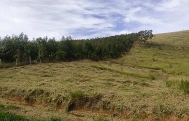 Imagem 11: Investimento certo aqui. 500m² de Área