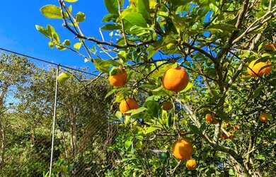 Imagem 12: TERRENO 1.000M² SAINT JAMES I - CAMPO LIMPO PAULISTA