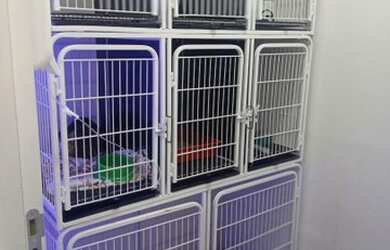 Imagem 5: Vendo clínica veterinária