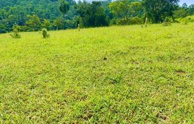 Imagem 3: R28 - Somente este final de semana lotes de 500m² por 50 mil