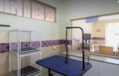 Imagem: O depósito está localizado em Vila Seixas, Ribeirão Preto