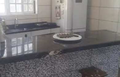 Imagem: A casa possui 1 Dormitório, 1 Banheiro e está localizado