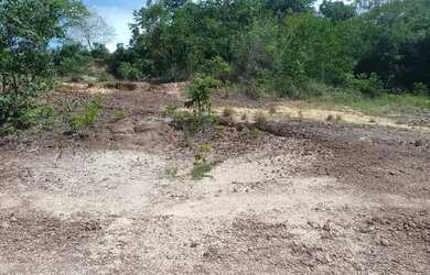 Imagem: O terreno está localizado em Salvação, Santarém à venda