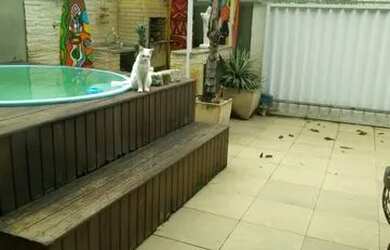 Imagem 8: Excelente residência na Estrada do Morro Cavado, condomínio Vila Verde, sala, 03 quartos s