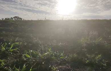 Imagem 8: 48AN-MQBI20 Terreno / lote com venda por R$90.000