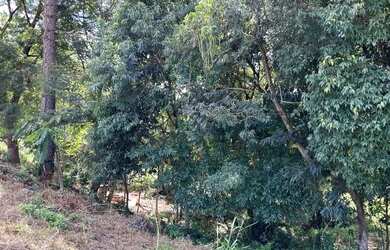 Imagem 14: Linda chácara na área urbana do município de Corbélia!!!