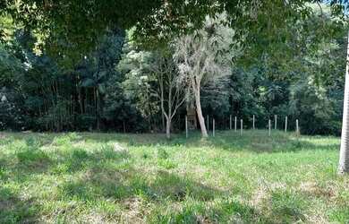 Imagem 5: Linda chácara na área urbana do município de Corbélia!!!