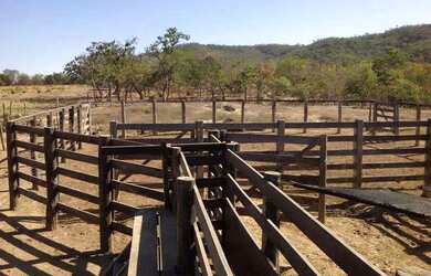 Imagem 6: OPORTUNIDADE ÚNICA Fazendinha de 38 hectares as margens da BR a 12 km...