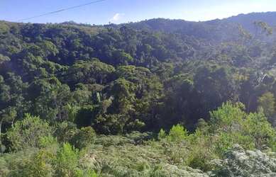 Imagem 10: Fazenda Boa Vista - Fazenda à venda, Piaçu, Muniz Freire, ES
