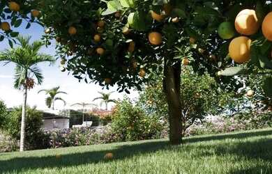 Imagem 8: Terreno à venda no bairro Solar Monte Cristo em Senador Canedo/GO