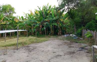 Imagem 2: CASA A VENDA. Varanda, 2 Vagas na garageme4 Dormitórios