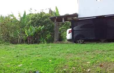 Imagem 4: Vendo fazenda em Gandu BA