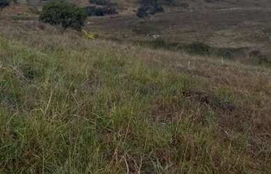 Imagem 15: Fazenda 2.195 Hectares. 