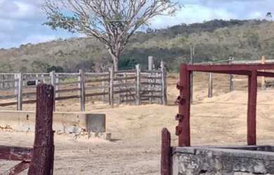 Imagem 2: Fazenda 2.195 Hectares. 
