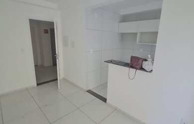 Imagem 4: Palmeiras Prime II