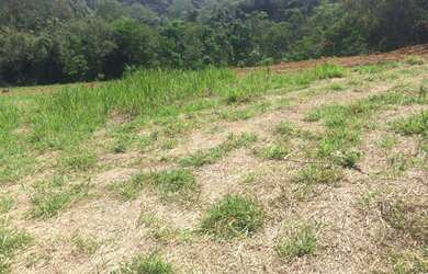 Imagem: O terreno possui 1.000m² de Área e está localizado em Centro