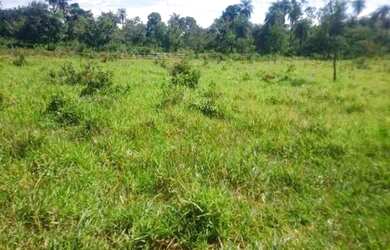 Imagem: A chácara e está localizado em Jaboticatubas, MG à venda