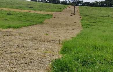 Imagem 5: Investimento certo aqui. 500m² de Área