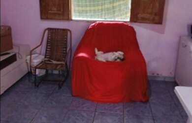 Imagem 2: CASA NO GUAMA. 48m² de Área, 1 Vaga na garageme2 Dormitórios