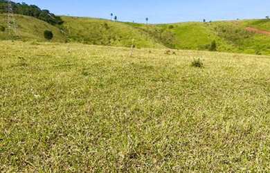 Imagem 15: 32R-Lote/Terreno para venda possui 500 metros quadrados em Jardim Brasil...