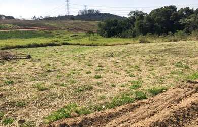 Imagem 2: Lote/Terreno para venda possui 600 metros quadrados em Jardim Lavapes das Graças - Cotia