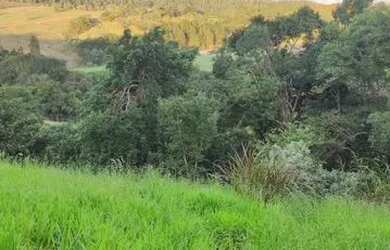 Imagem 13: Lote/Terreno para venda possui 500 metros quadrados em Jardim Brasil -...