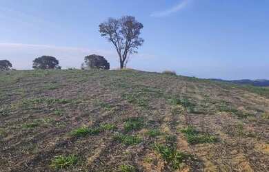 Imagem 15: 48AN-MQBI20 Terreno / lote com venda por R$90.000