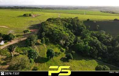 Imagem 9: Fazenda à Venda, 1080000 M² Por R$ 4.200.000 - Pilar - Pilar/pb