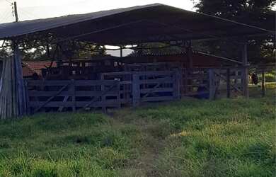 Imagem: A fazenda está localizado em Uberlândia, MG à venda por