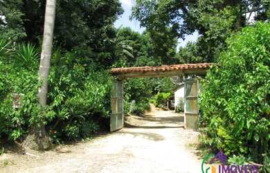 Imagem 7: AREA - LARANJA AZEDA - SP