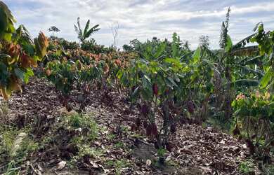 Imagem 7: Sitio 13 ha Porteira Fechada